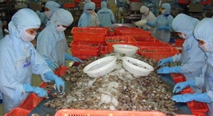 US reduces anti-dumping taxes on Vietnam’s frozen shrimp